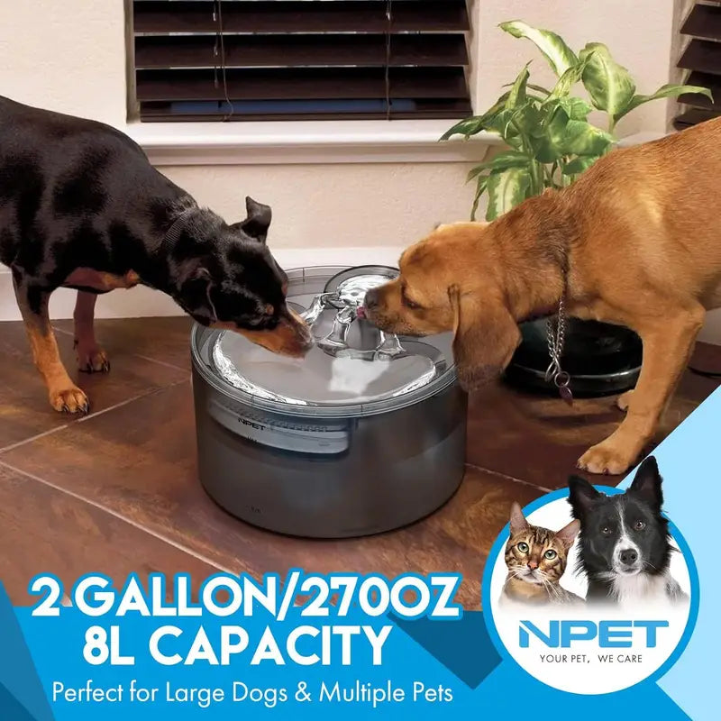 2 Gallon Automatic Dog Water Fountain with Guard