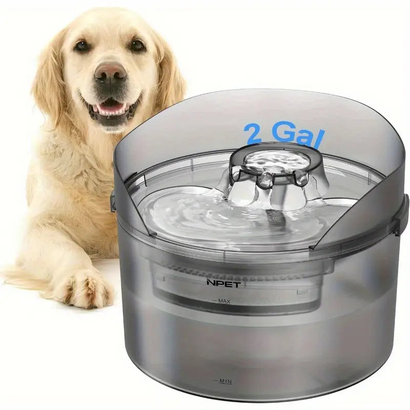 2 Gallon Automatic Dog Water Fountain with Guard
