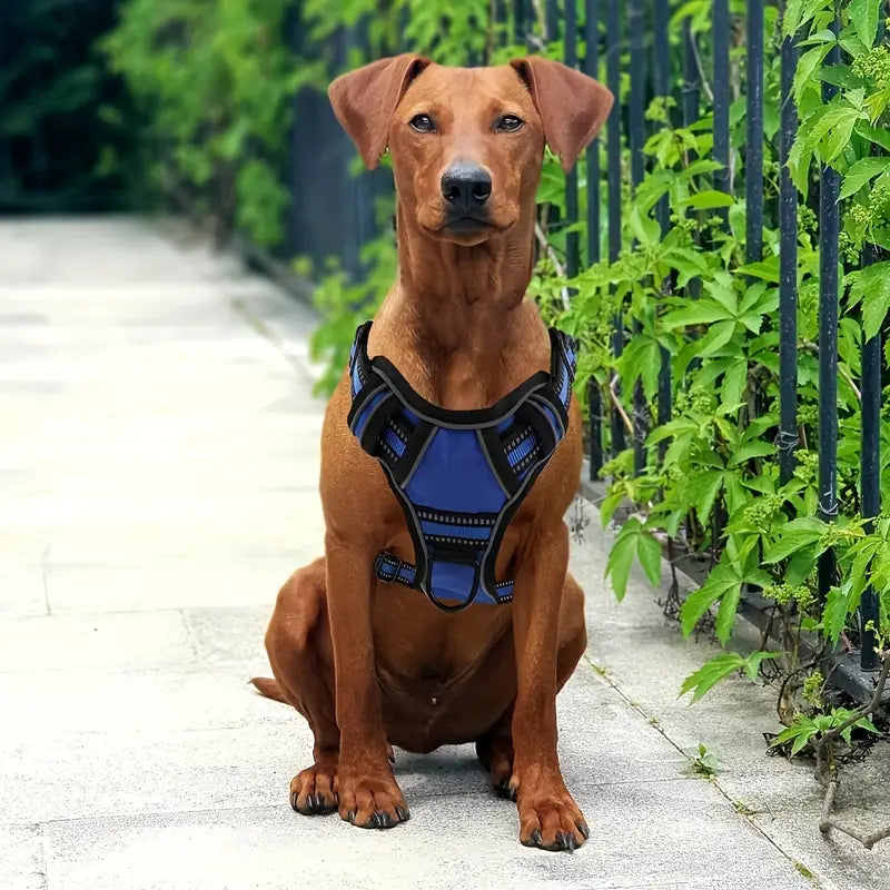 6-in-1 No-Pull Reflective Dog Harness & Leash Set
