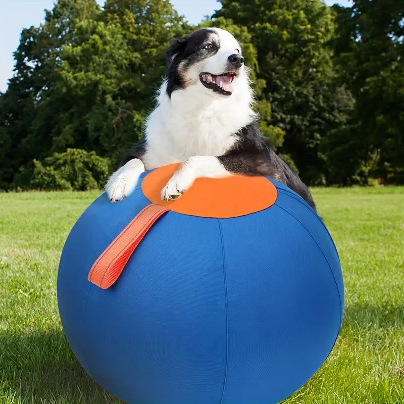 Funny Dog Ball Toy Set – Biting & Training Balls (No Battery)