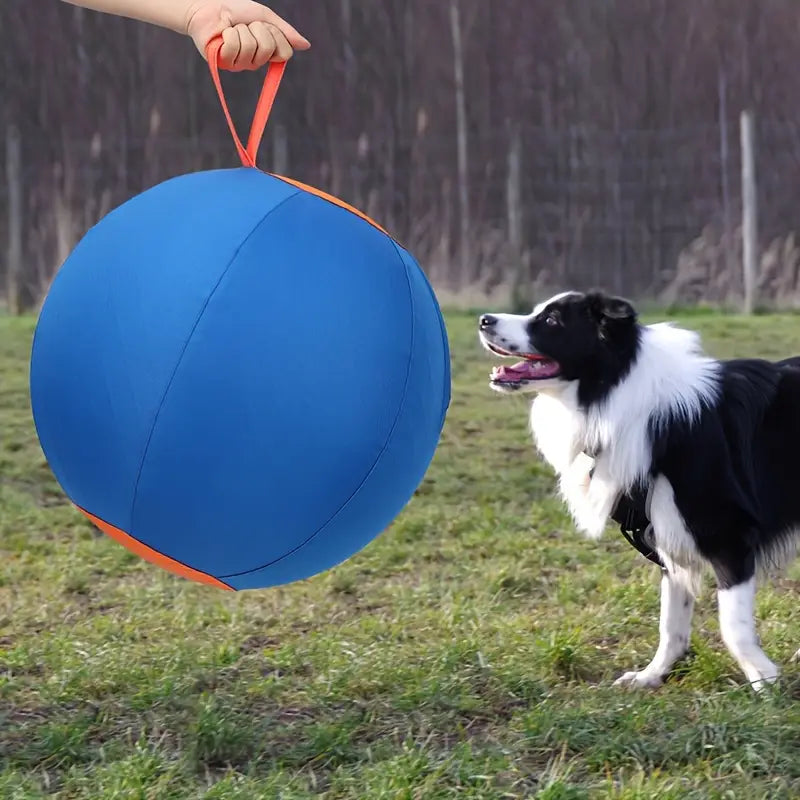 Funny Dog Ball Toy Set – Biting & Training Balls (No Battery)
