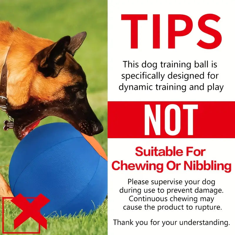 Funny Dog Ball Toy Set – Biting & Training Balls (No Battery)
