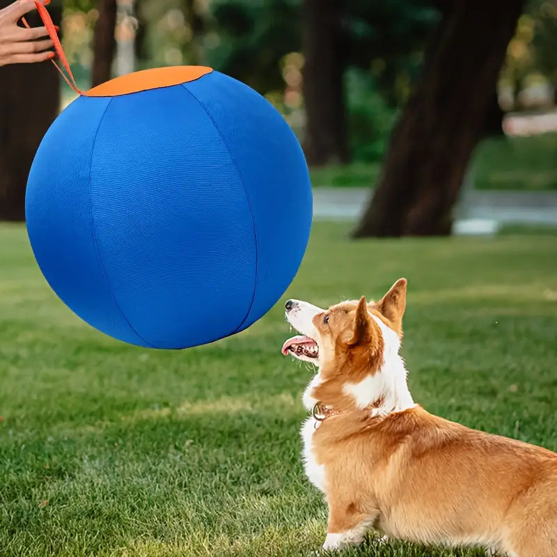 Funny Dog Ball Toy Set – Biting & Training Balls (No Battery)
