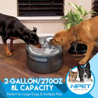 2 Gallon Automatic Dog Water Fountain with Guard