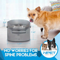 2 Gallon Automatic Dog Water Fountain with Guard