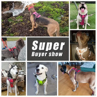 6-in-1 No-Pull Reflective Dog Harness & Leash Set