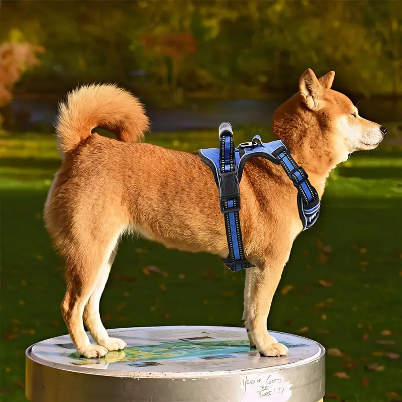6-in-1 No-Pull Reflective Dog Harness & Leash Set