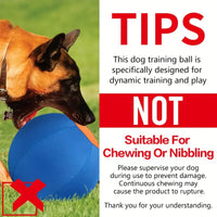 Funny Dog Ball Toy Set – Biting & Training Balls (No Battery)