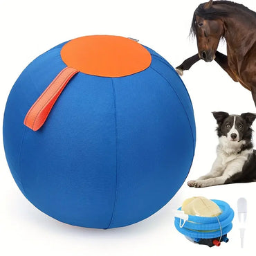 Funny Dog Ball Toy Set – Biting & Training Balls (No Battery)